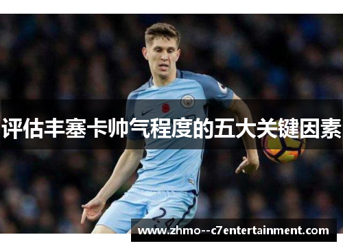 评估丰塞卡帅气程度的五大关键因素 评估丰塞卡帅气程度的五大关键因素