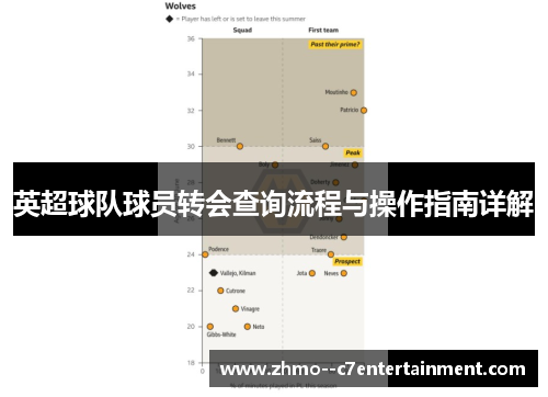 英超球队球员转会查询流程与操作指南详解