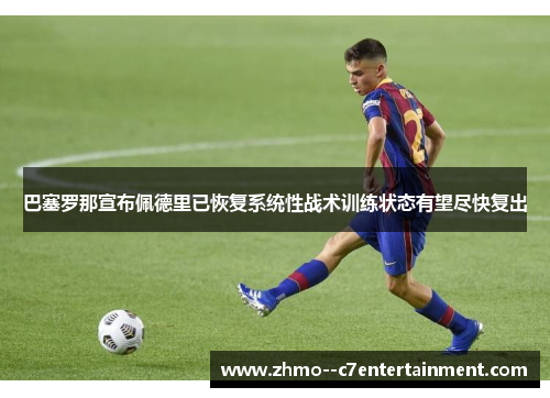 巴塞罗那宣布佩德里已恢复系统性战术训练状态有望尽快复出 巴塞罗那宣布佩德里已恢复系统性战术训练状态有望尽快复出
